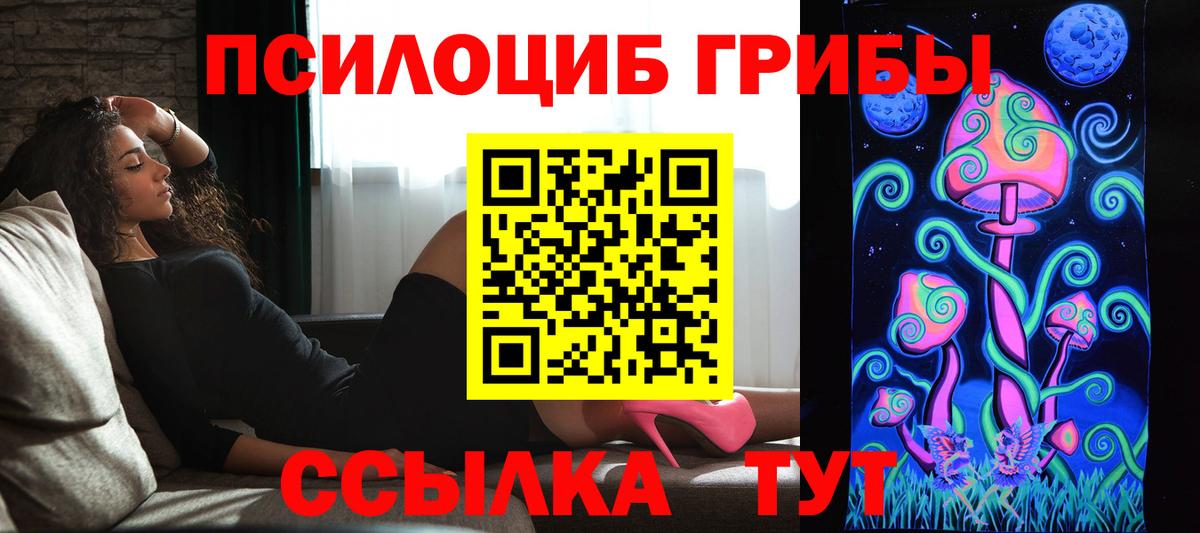 Балашов  Галлюциногенные грибы Cubensis  Вход с VPN 